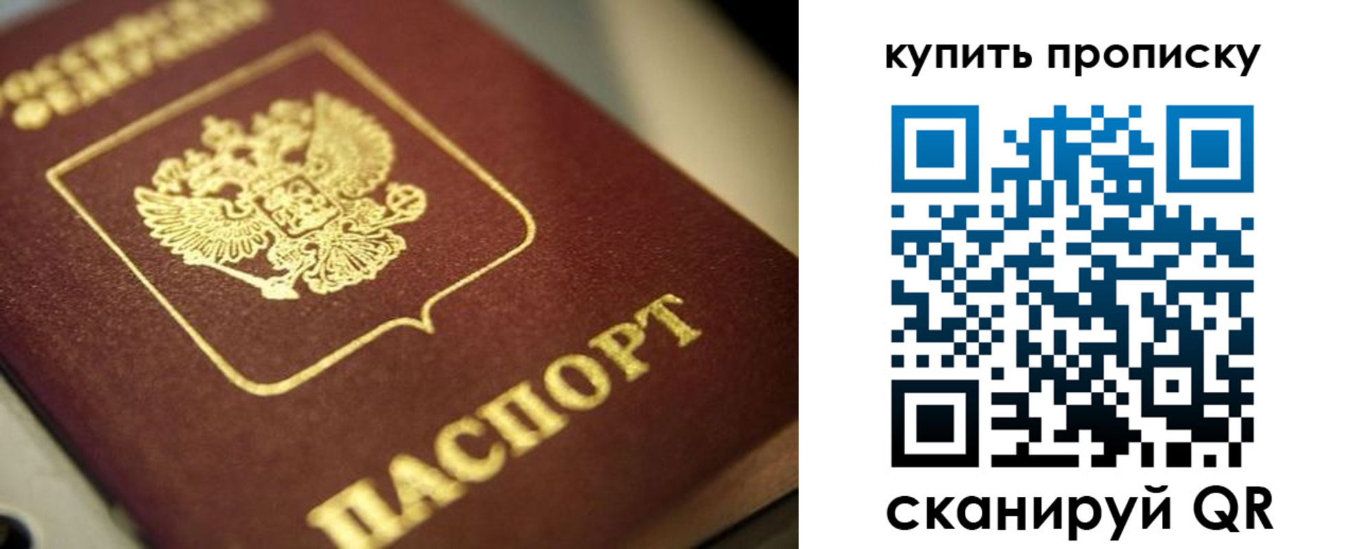 прописка поиск в Лосино-Петровском